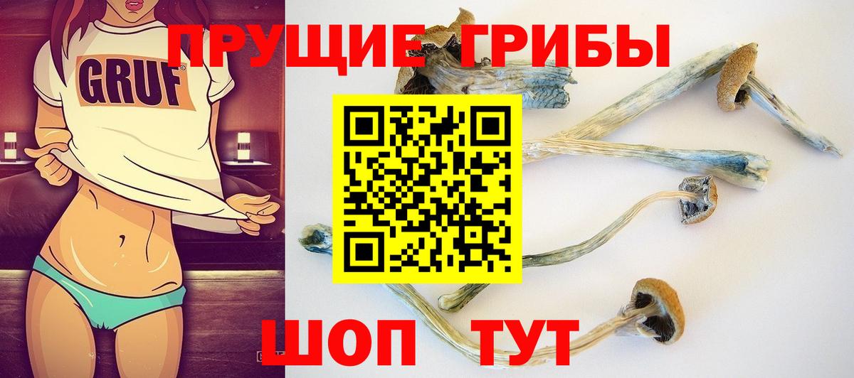 где купить наркотик  Галлюциногенные грибы мухоморы  Нальчик  Вход с VPN  Псилоцибиновые грибы мицелий 